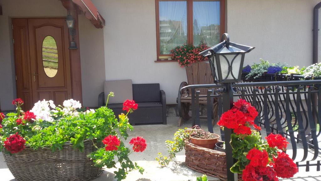 Apartamenty I Pokoje Rodzinne Czarna Góra 外观 照片