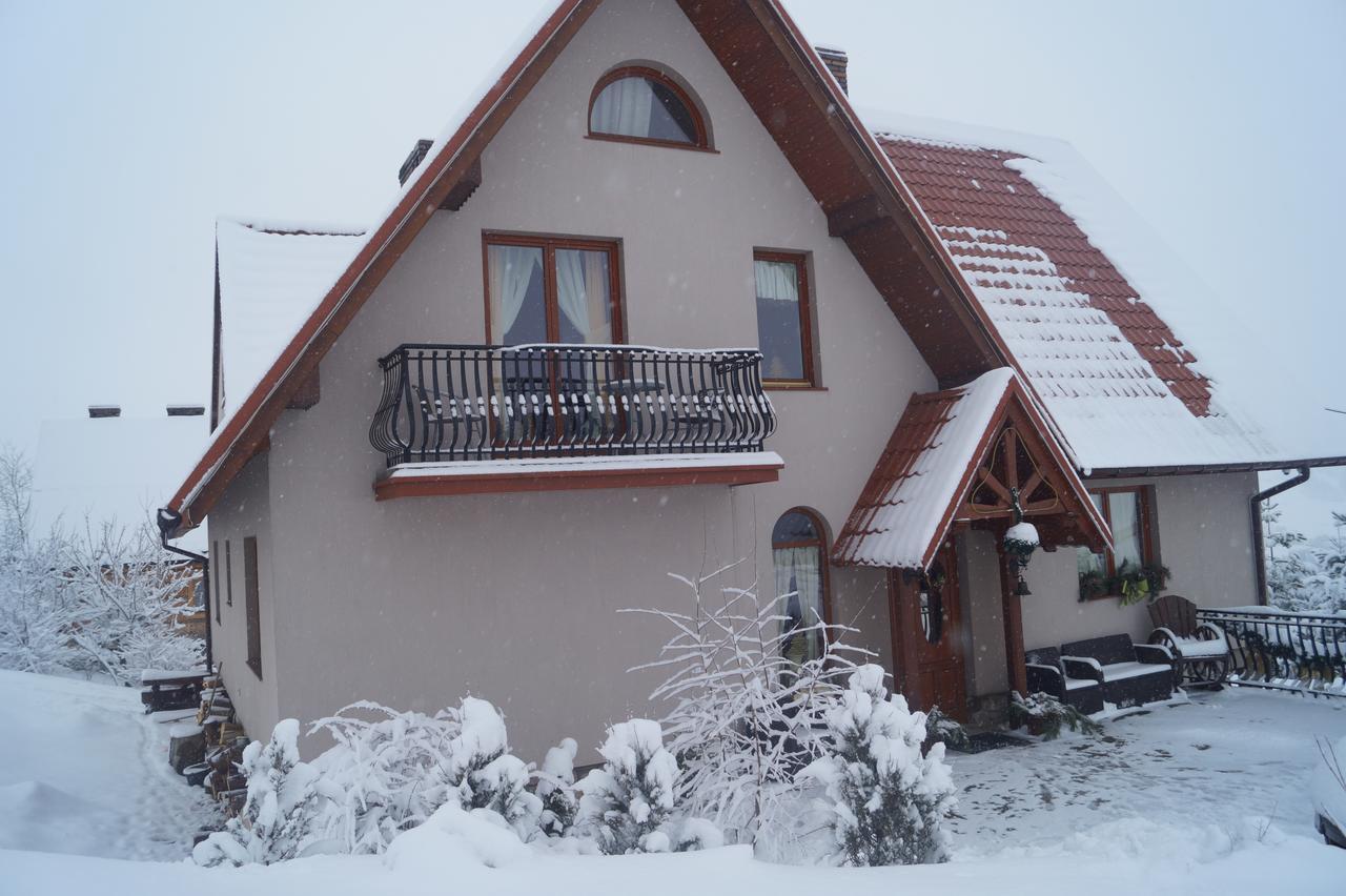 Apartamenty I Pokoje Rodzinne Czarna Góra 外观 照片