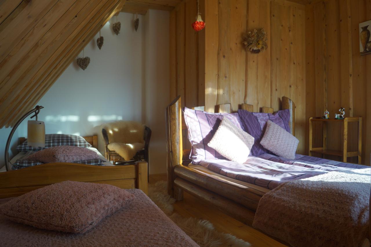 Apartamenty I Pokoje Rodzinne Czarna Góra 外观 照片